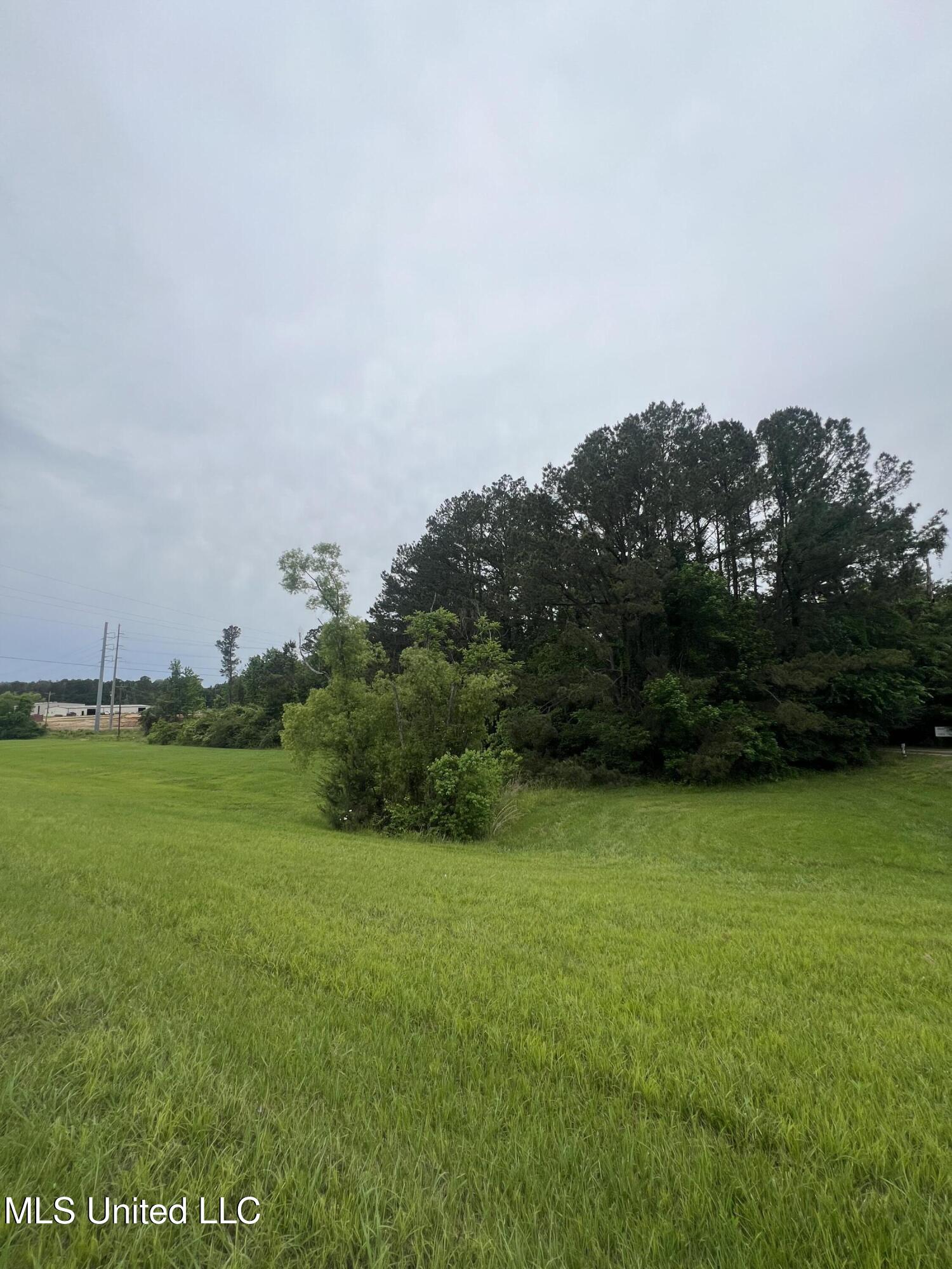 0 Hwy 475 Property Photo 5