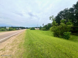 0 Hwy 475 Property Photo 6