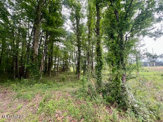0 Hwy 475 Property Photo 10