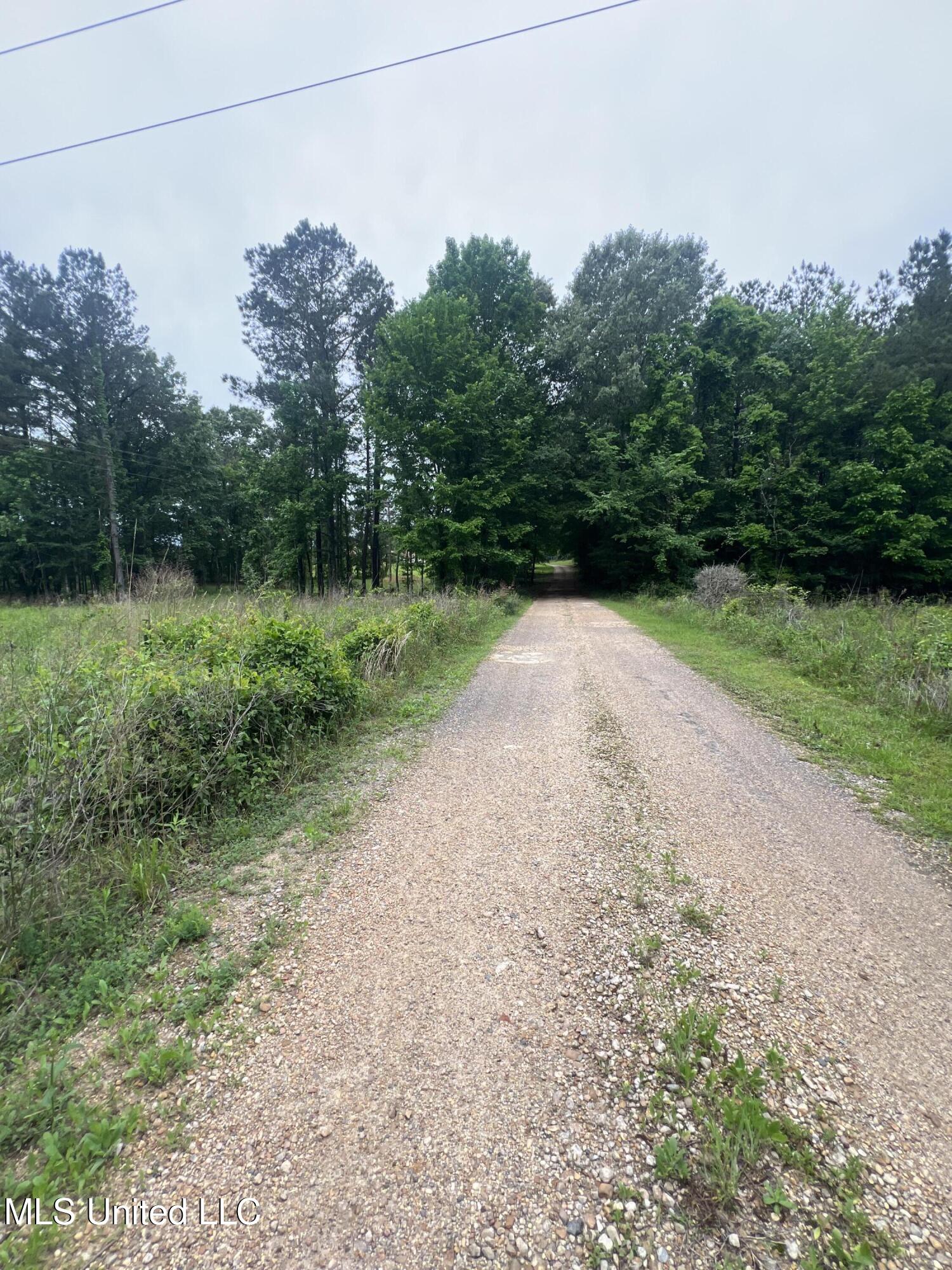 0 Hwy 475 Property Photo 12
