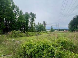0 Hwy 475 Property Photo 13