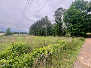 0 Hwy 475 Property Photo 14