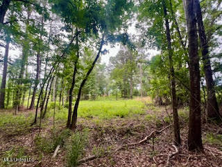0 Hwy 475 Property Photo 15