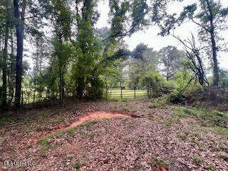 0 Hwy 475 Property Photo 16