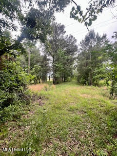 0 Hwy 475 Property Photo 17