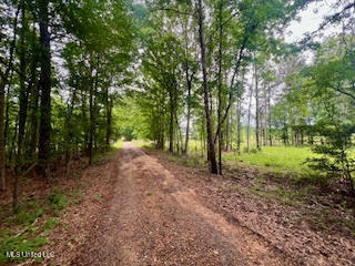 0 Hwy 475 Property Photo 19