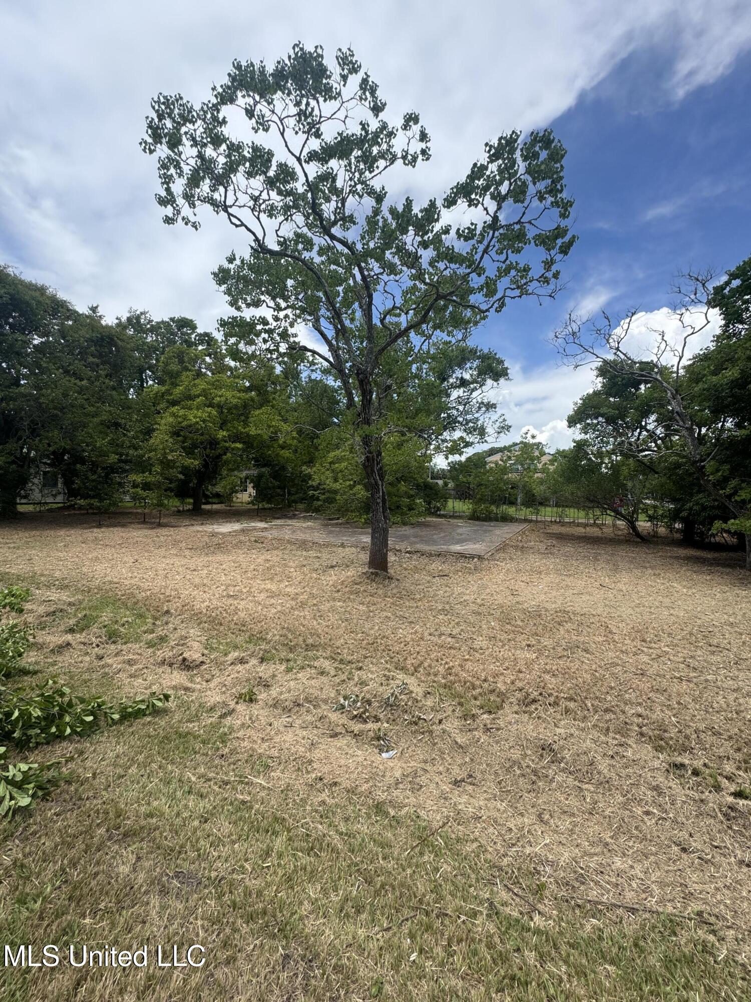 1017 14th Street Property Photo 3