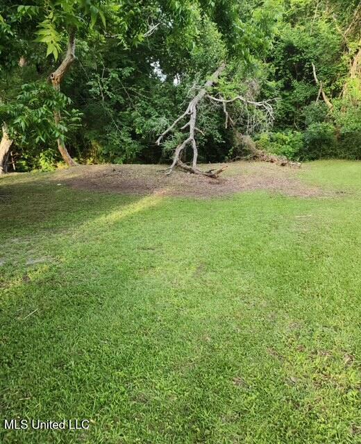 4042 Verlon Street Property Photo 3