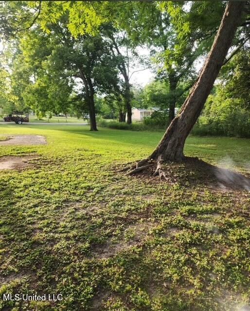 4042 Verlon Street Property Photo 4