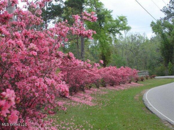 116 E Sunnybrook Road Property Photo 8