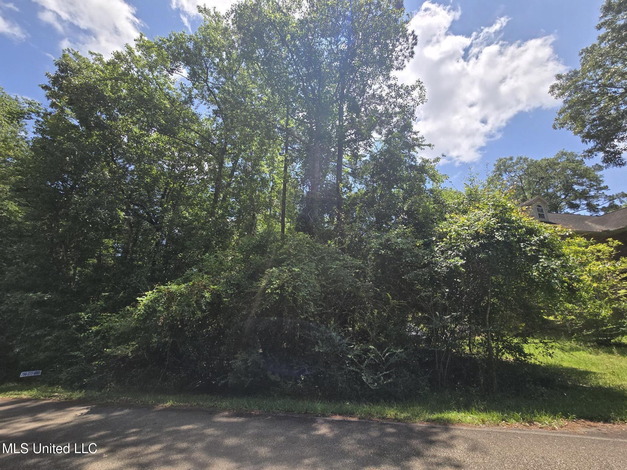 1403 E Lakeshore Drive Property Photo 1