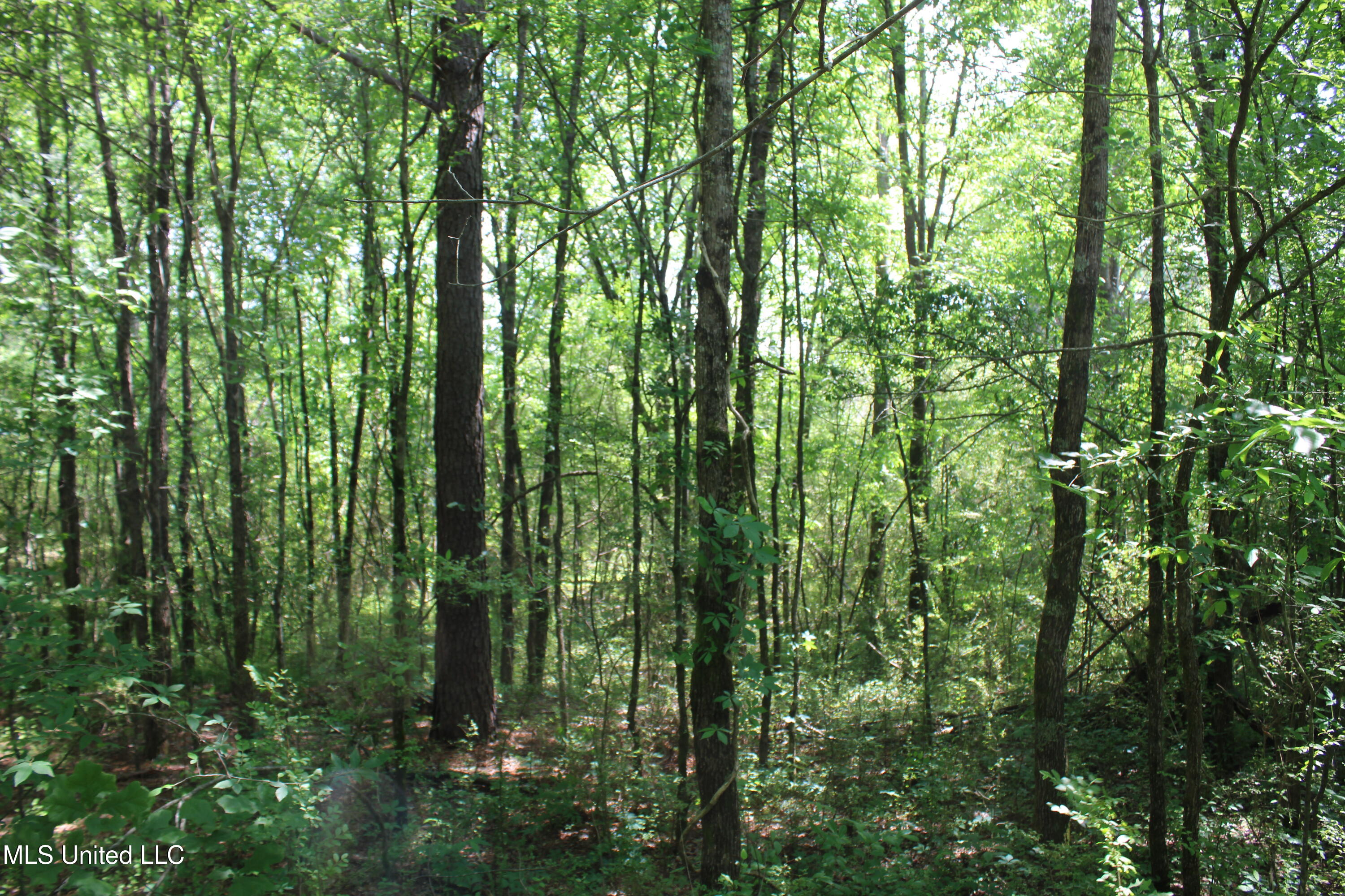 7900 E Craft Road Property Photo 2