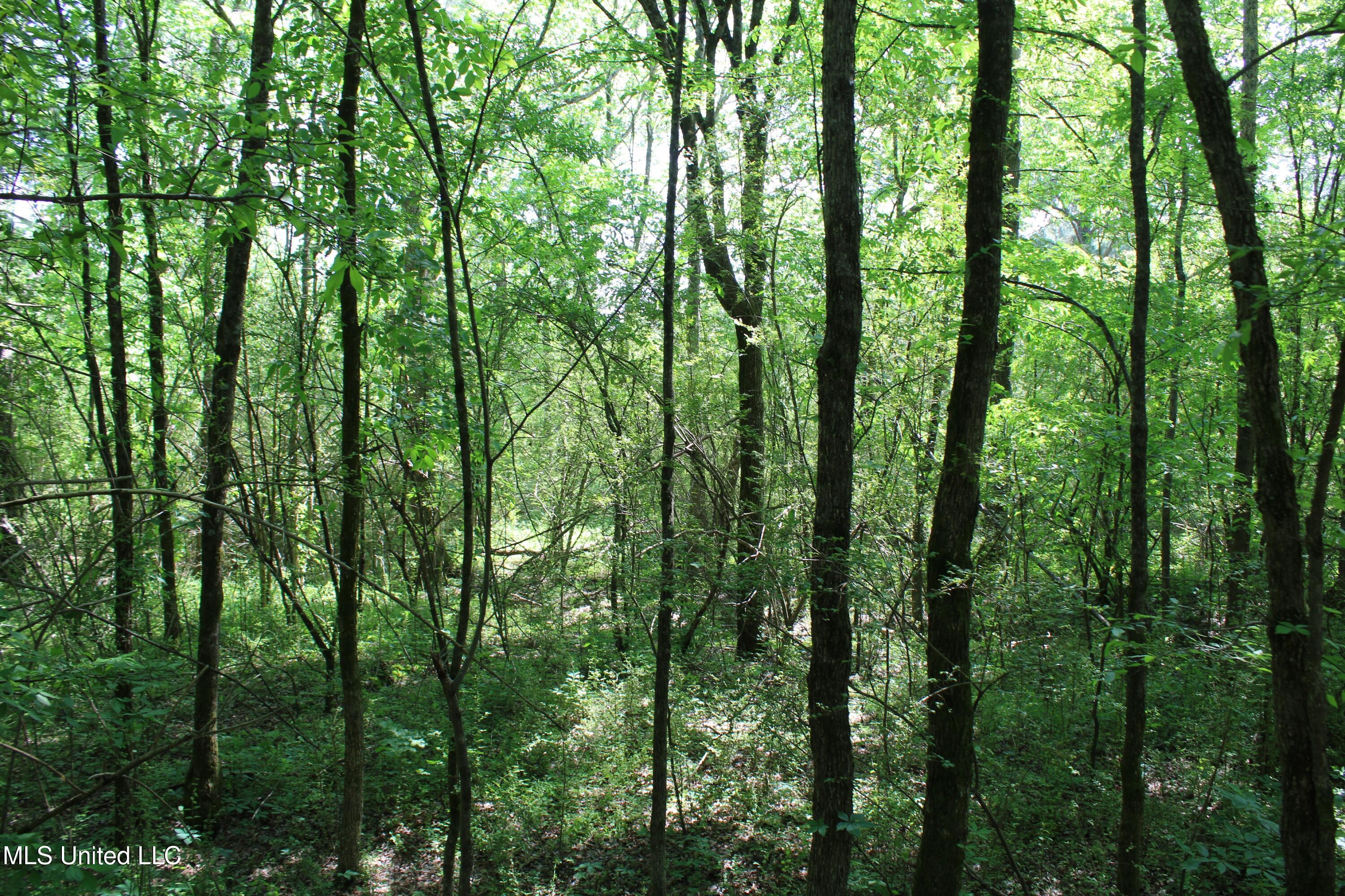 7900 E Craft Road Property Photo 6