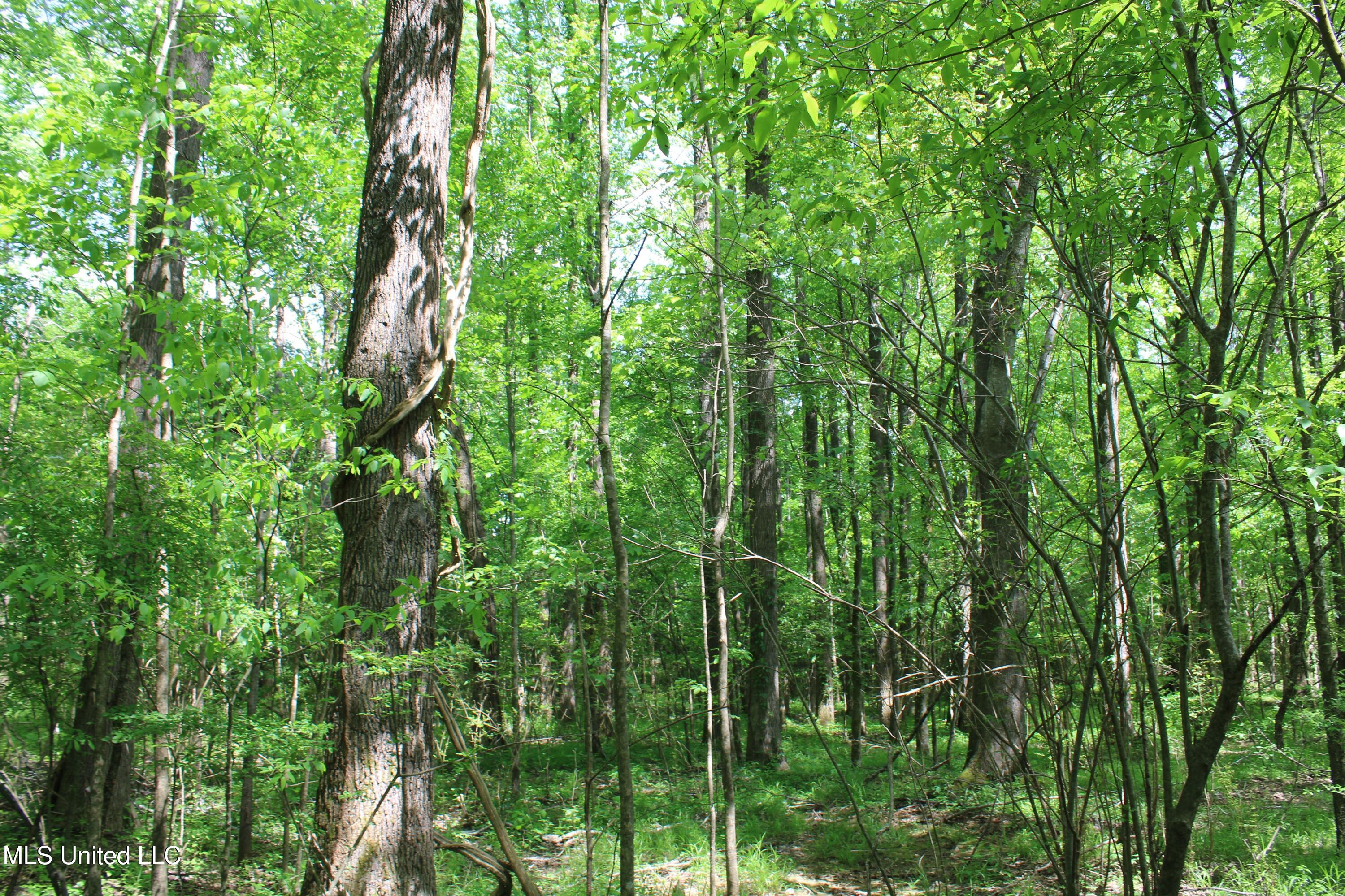 7900 E Craft Road Property Photo 10