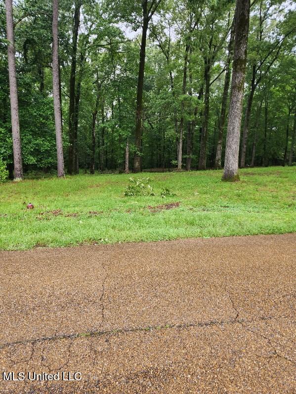 Lot 10 Country Squire Road Property Photo 1