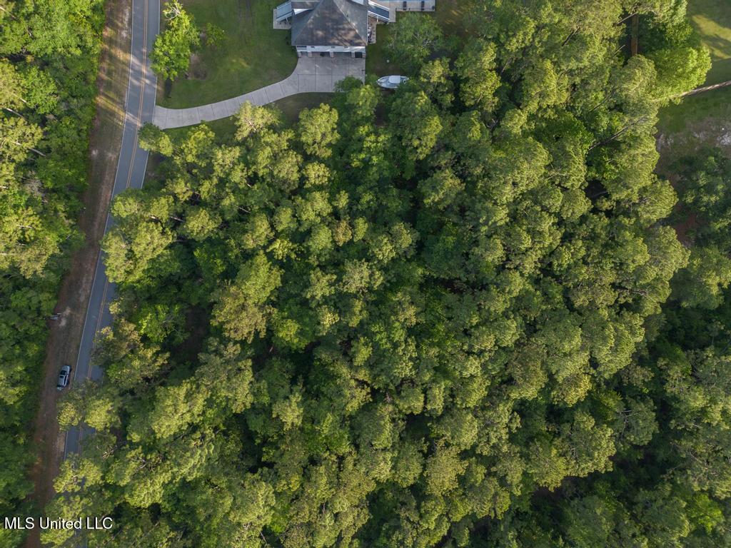 Longwood Circle Property Photo 5