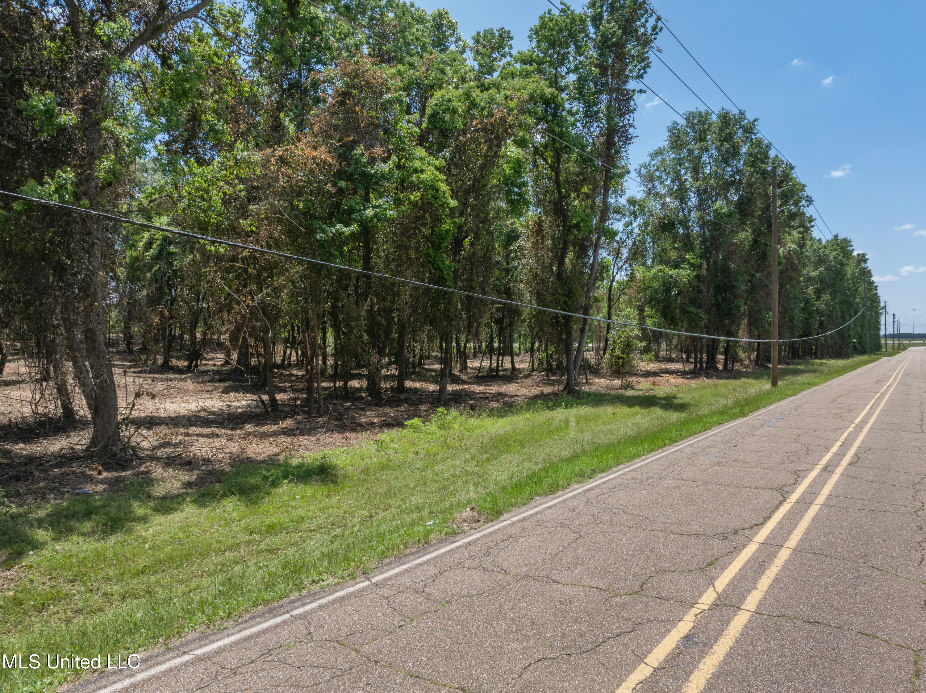 3.26 Acres Eatonville Road Property Photo 9