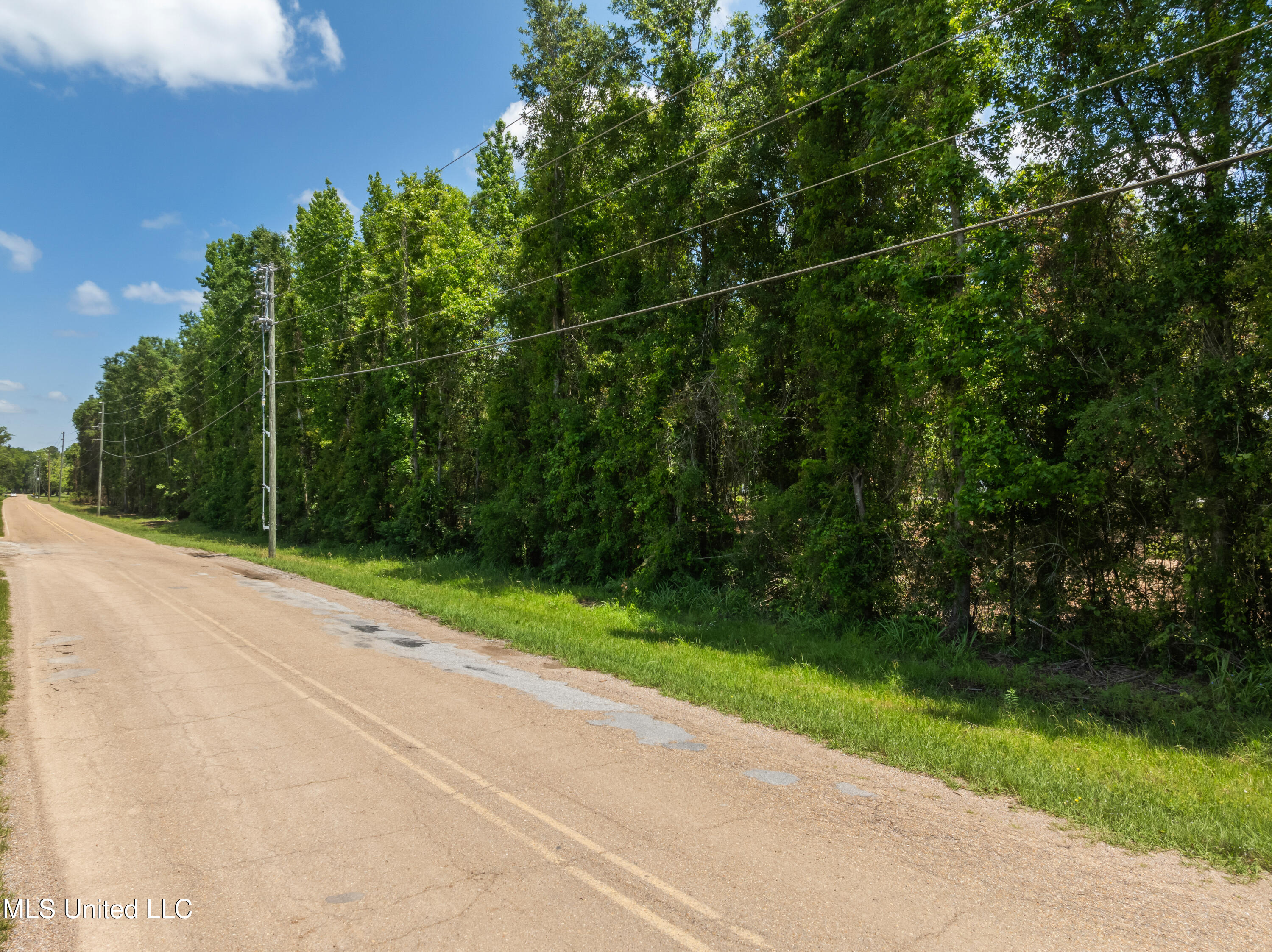 3.26 Acres Eatonville Road Property Photo 12