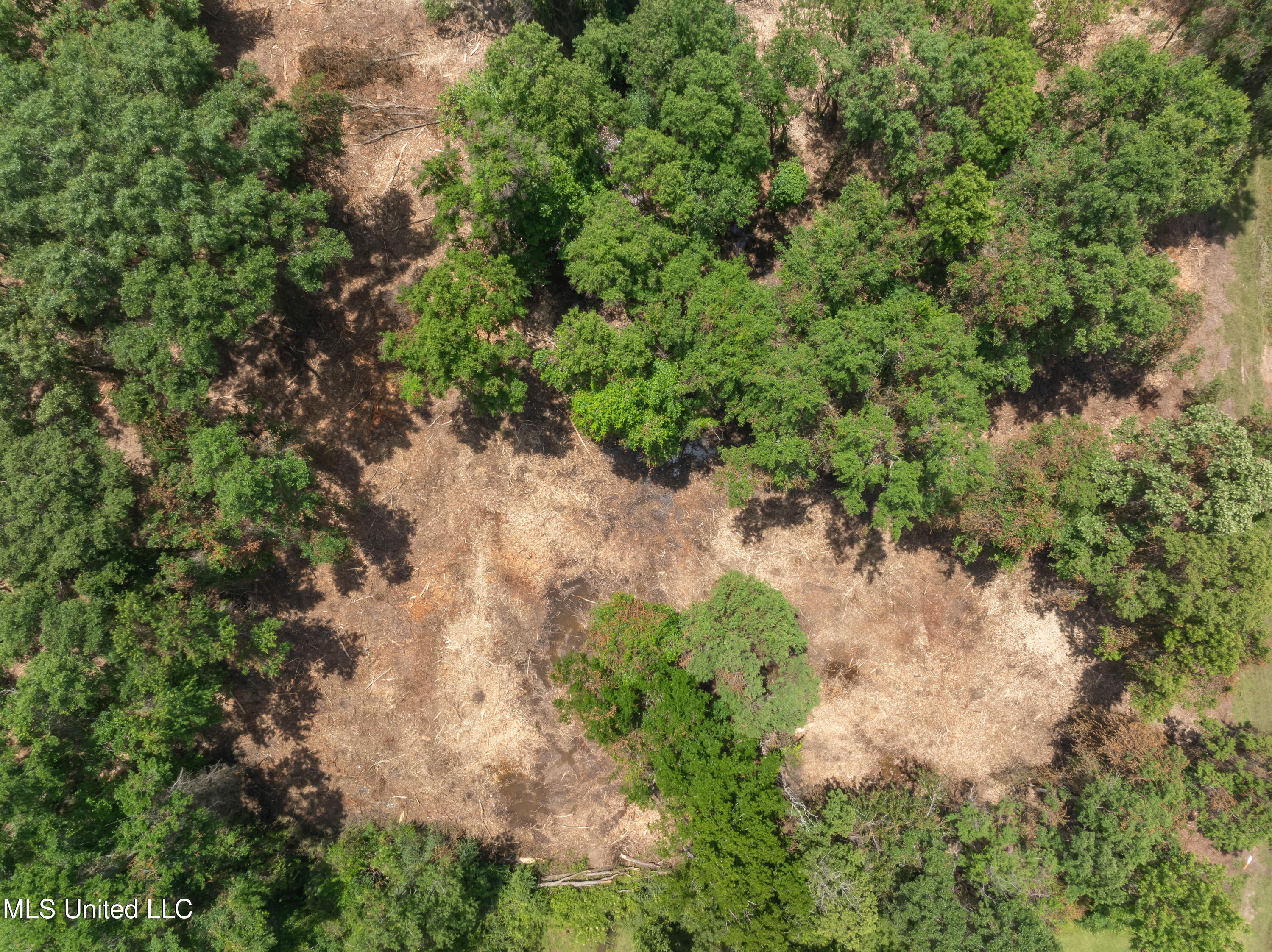 3.26 Acres Eatonville Road Property Photo 15