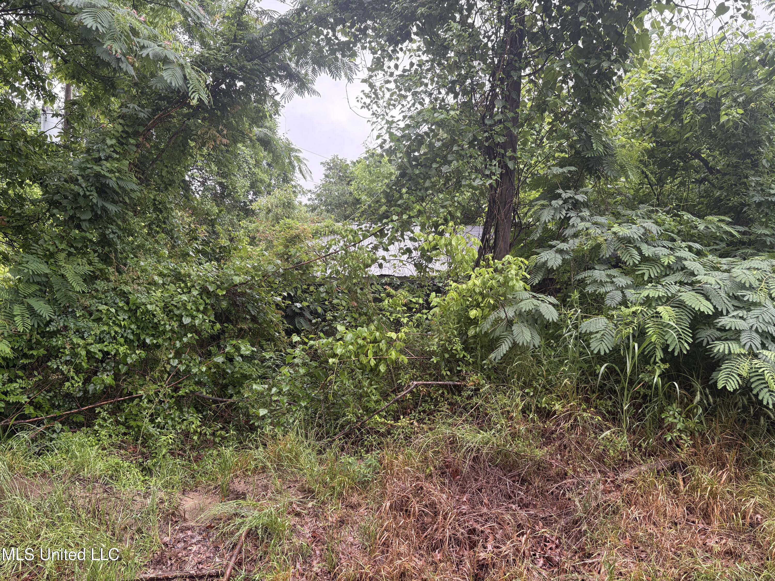 722 Lower Woodville Road Property Photo 2