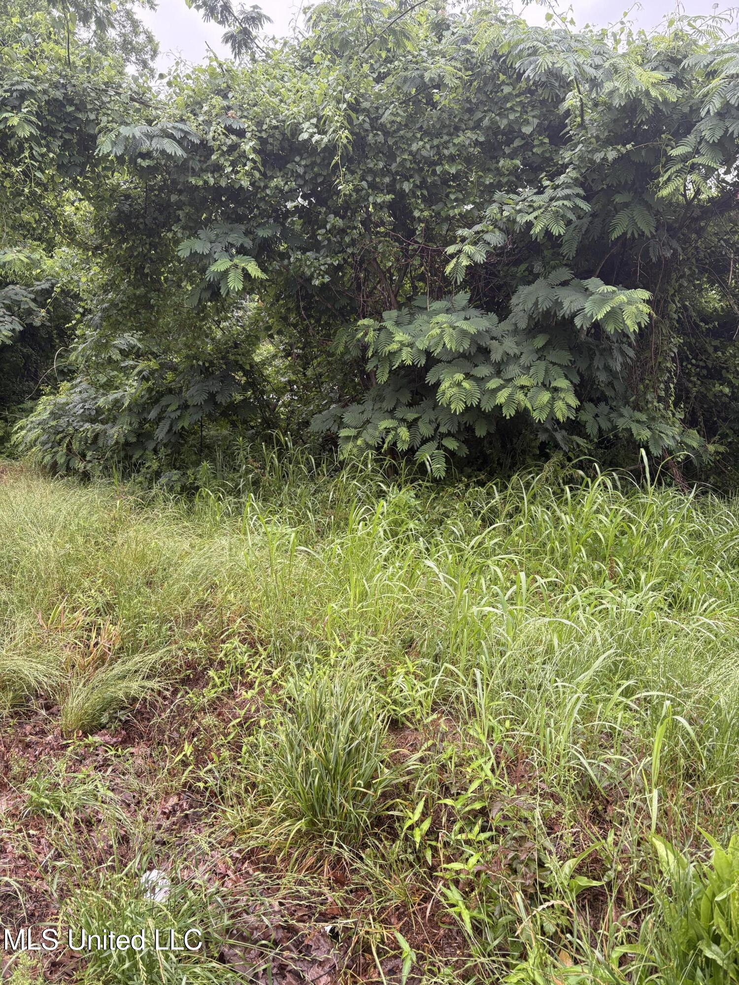 722 Lower Woodville Road Property Photo 3
