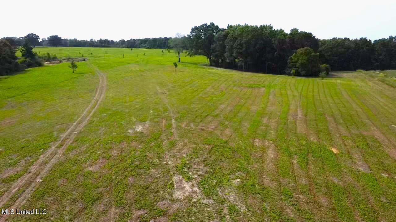 Lester Seals Road Property Photo 4