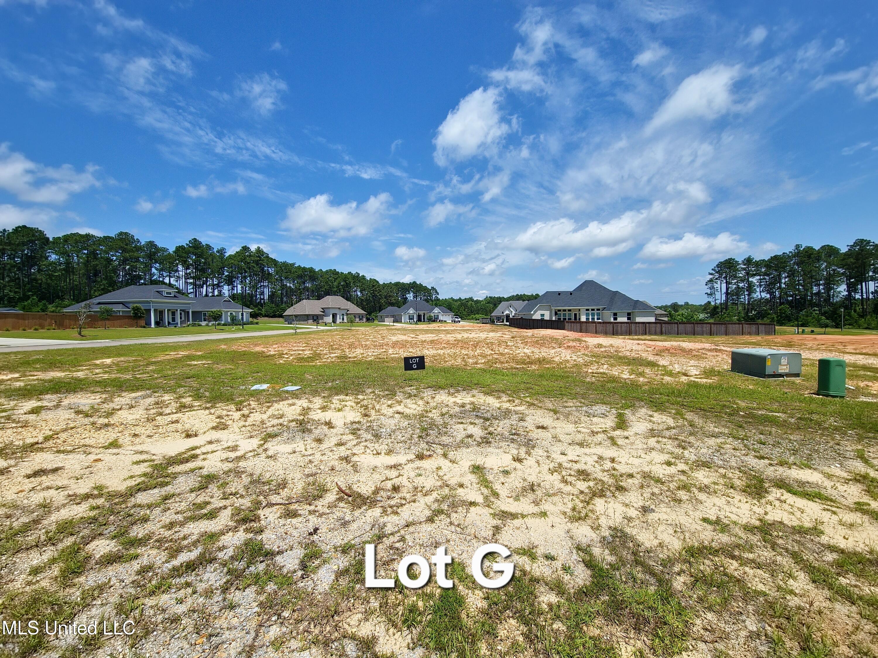 0 Belle La Vie Parkway Property Photo 4