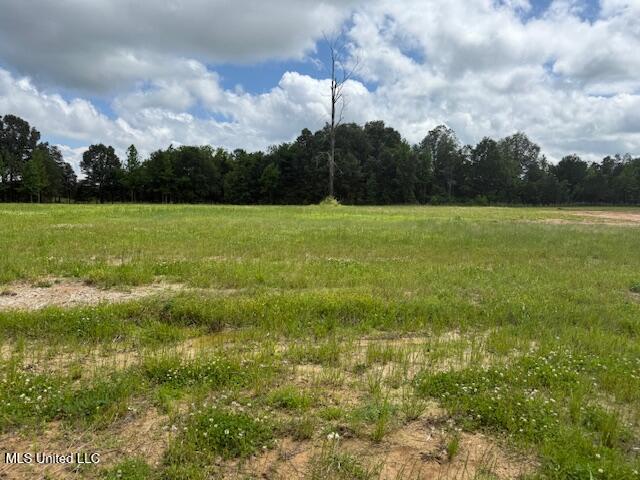 Cedar Crst Cove Property Photo 1