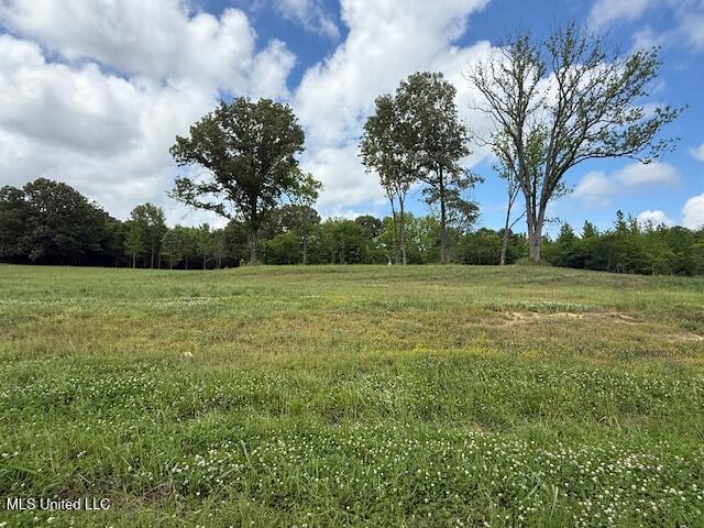 Cedar Crest Cove Property Photo 1