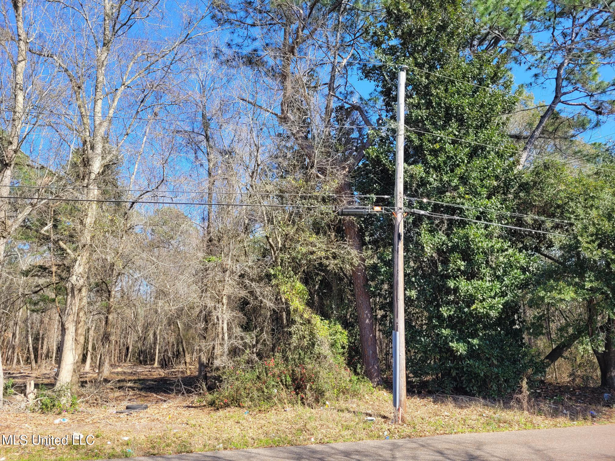 50th Avenue Property Photo 4