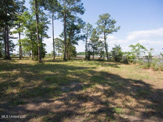 0 Irondale Street Property Photo 11