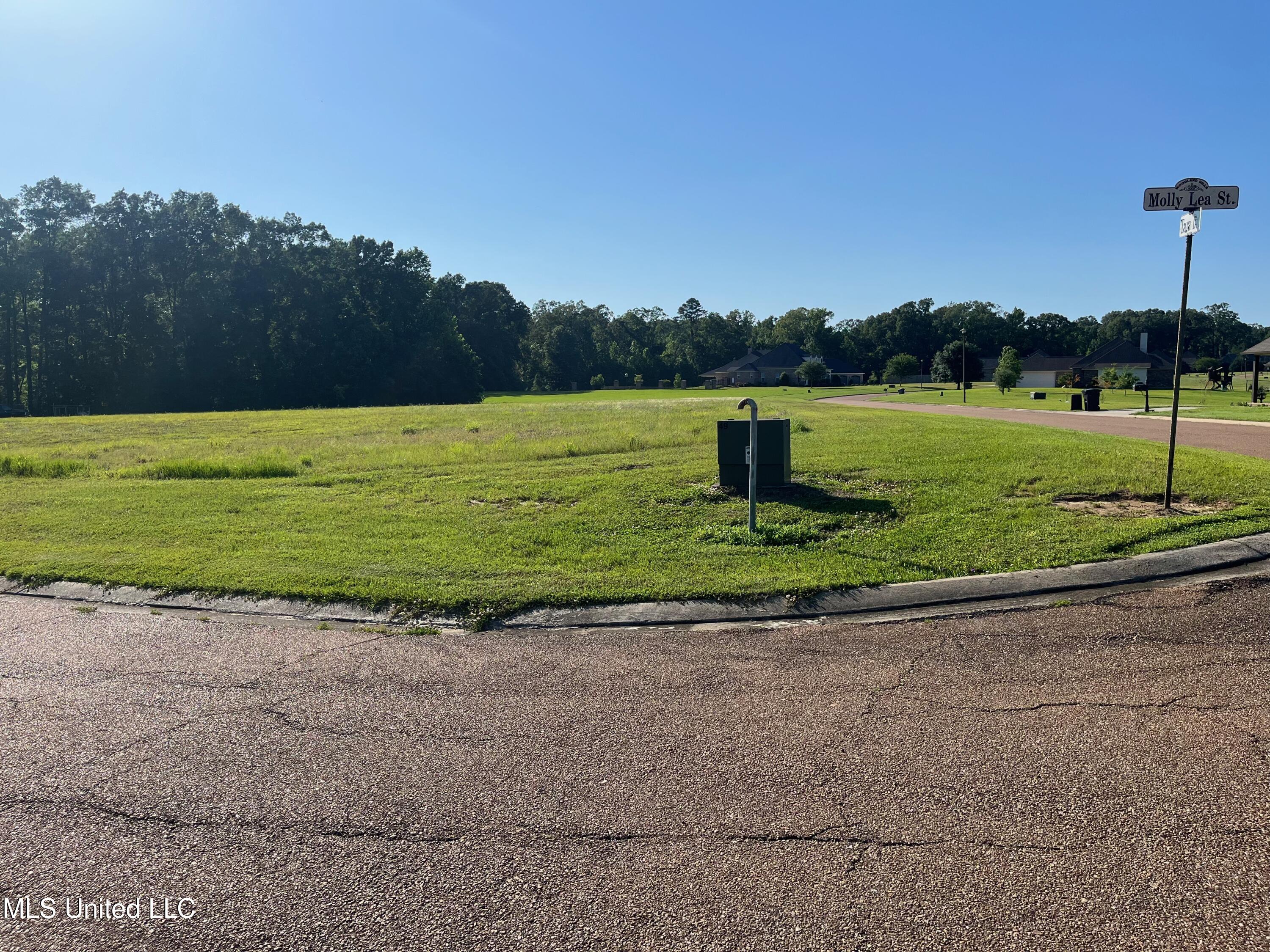 Lot 49 Tara Drive Property Photo 1