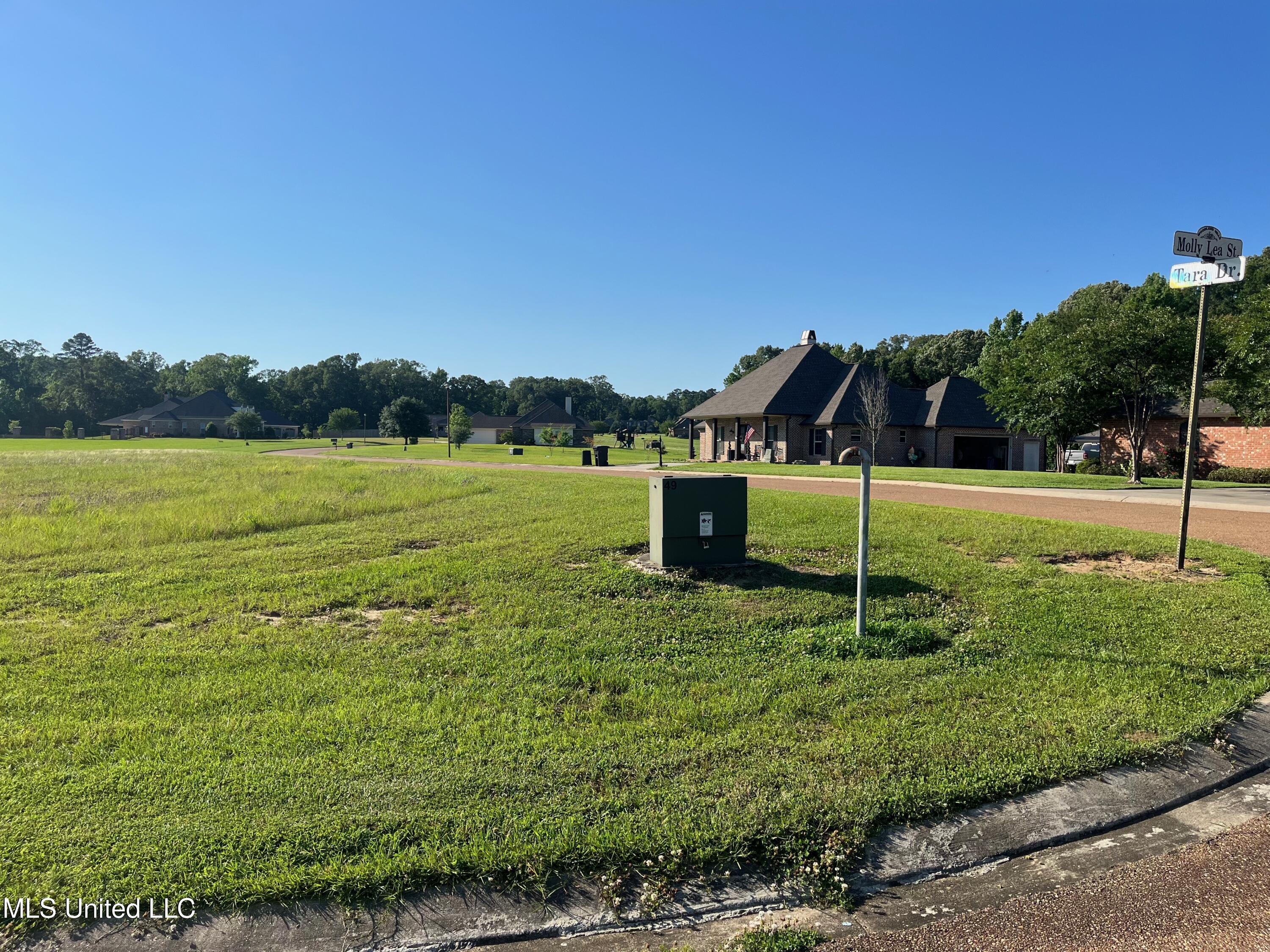 Lot 49 Tara Drive Property Photo 2