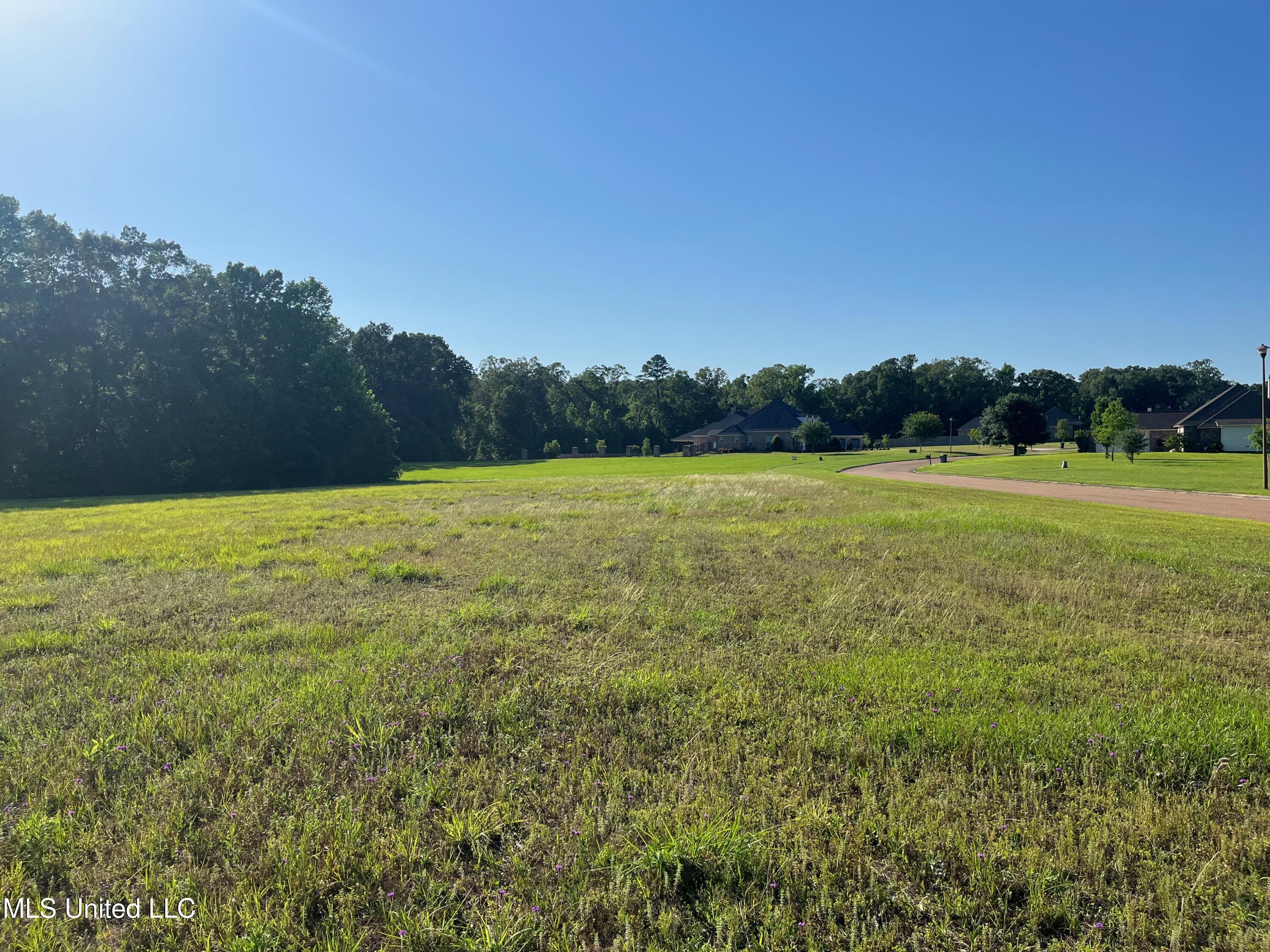 Lot 49 Tara Drive Property Photo 5