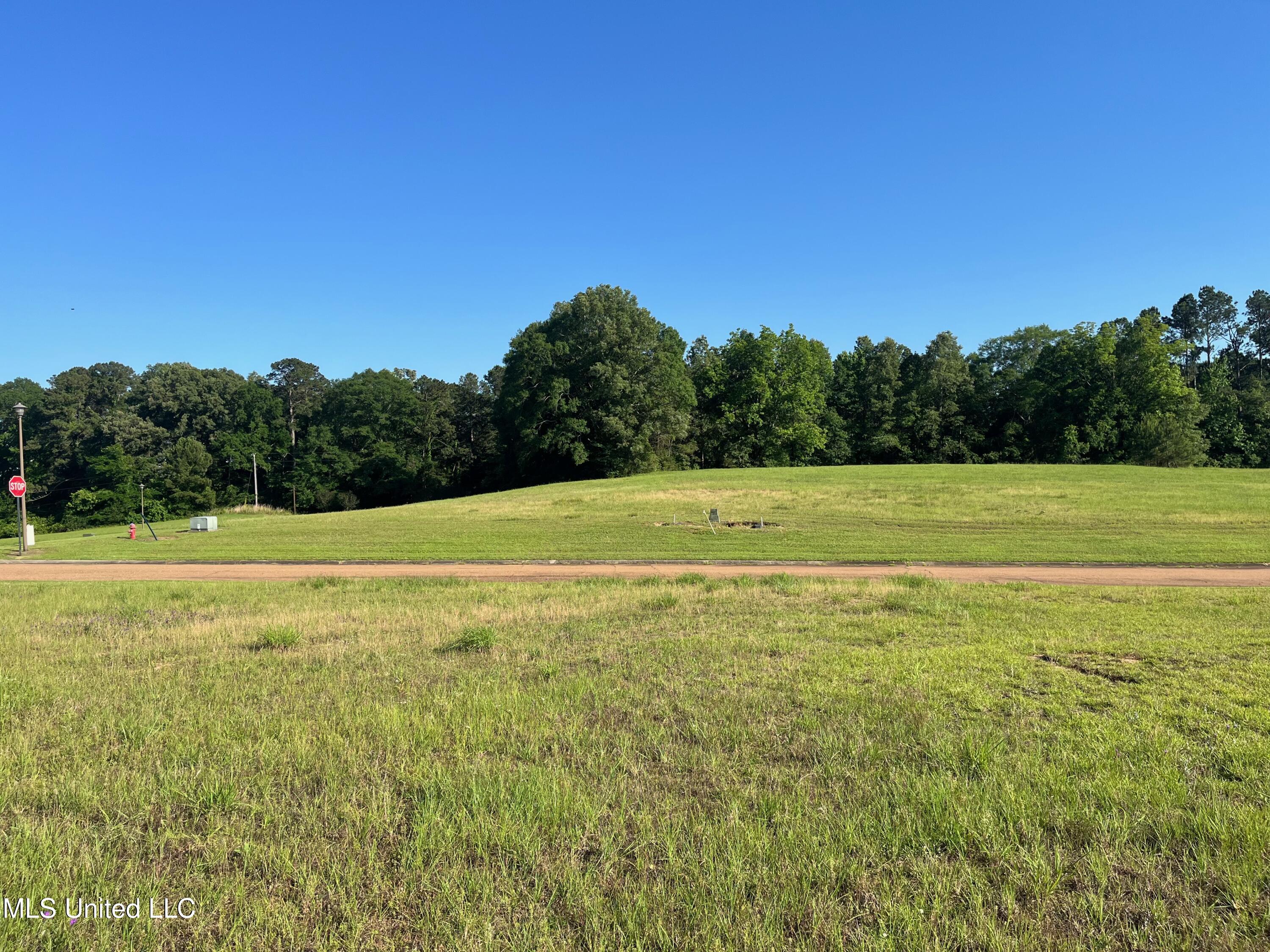 Lot 49 Tara Drive Property Photo 7