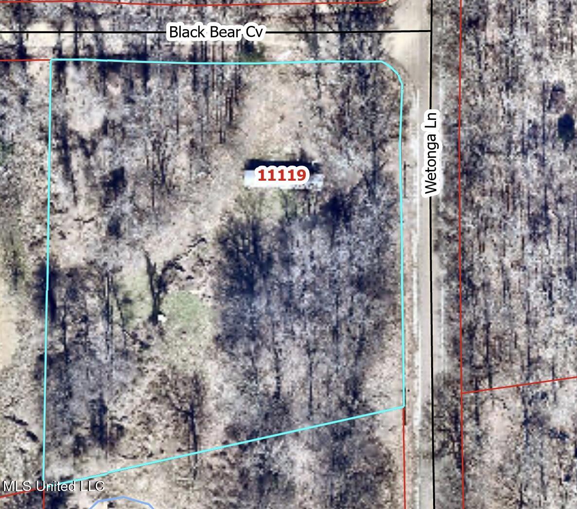 11119 Black Bear Cove Property Photo 1