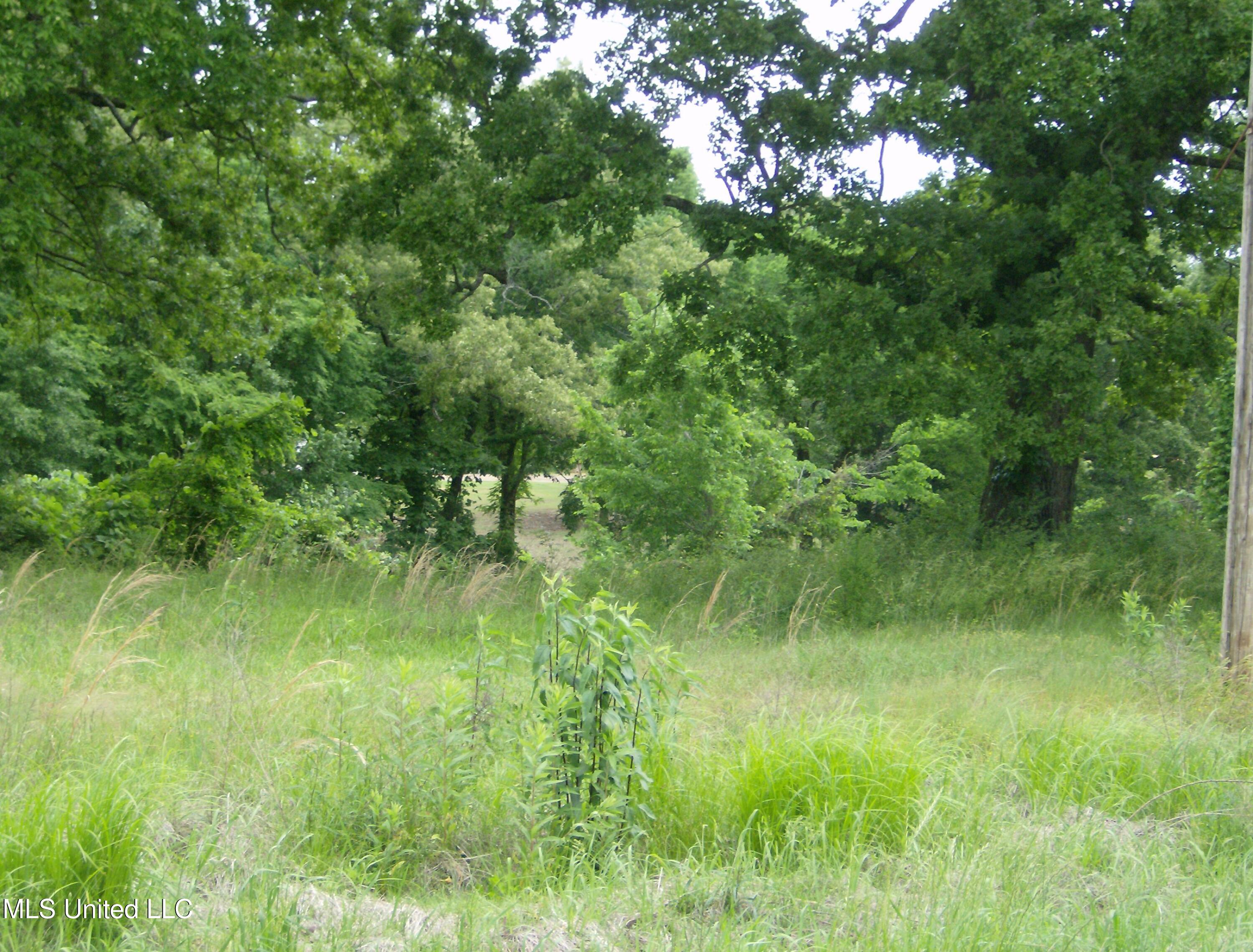 13705 Byhalia Road Property Photo 2