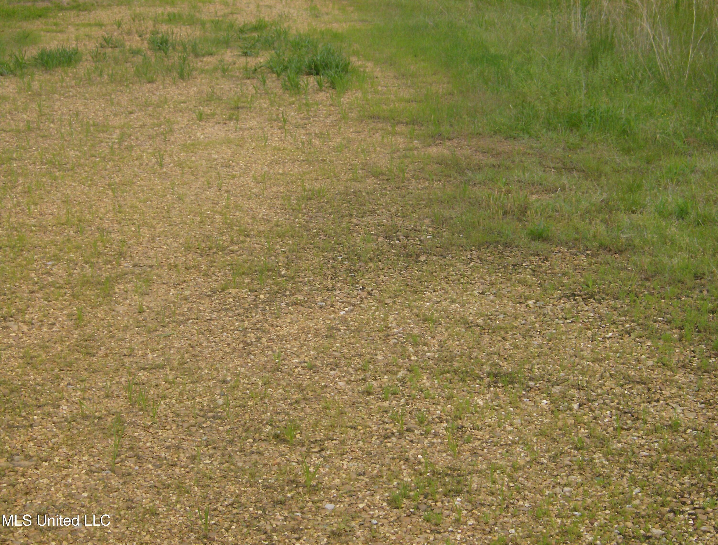 13705 Byhalia Road Property Photo 4