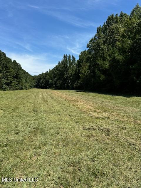 Cr 51 Property Photo 5
