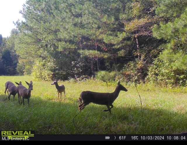 Cr 51 Property Photo 8