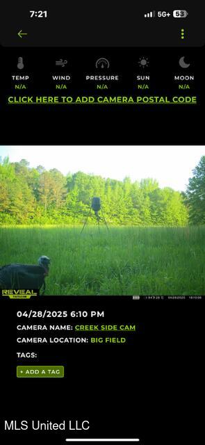 Cr 51 Property Photo 13
