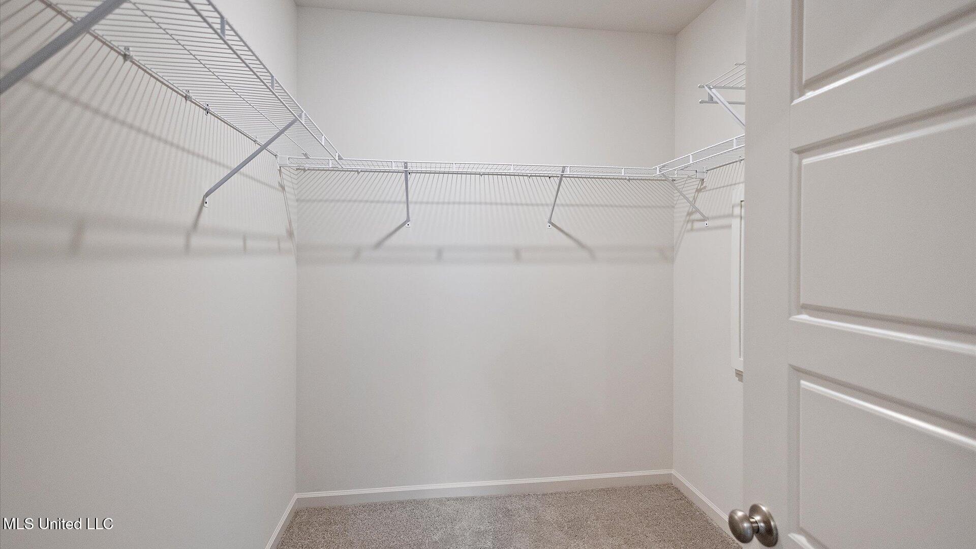 710 Honeysuckle Loop Property Photo 18