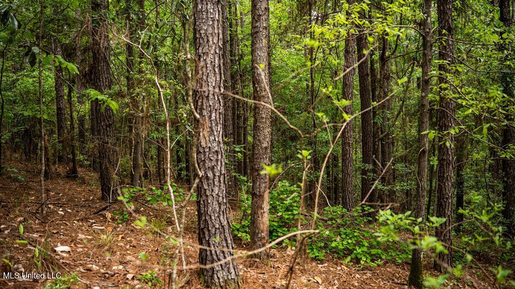 2683 33 Highway Property Photo 1