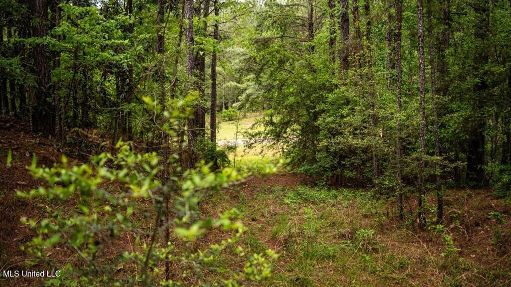 2683 33 Highway Property Photo 2