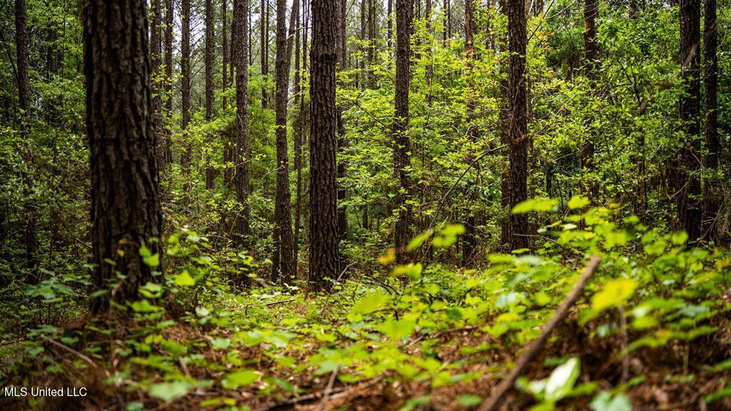 2683 33 Highway Property Photo 4