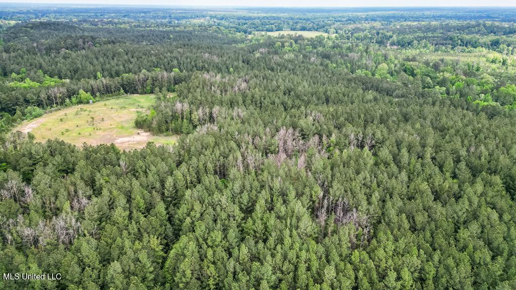 2683 33 Highway Property Photo 5