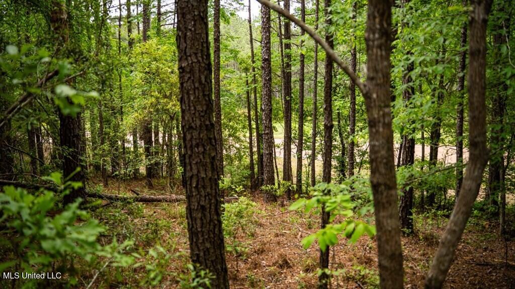 2683 33 Highway Property Photo 6