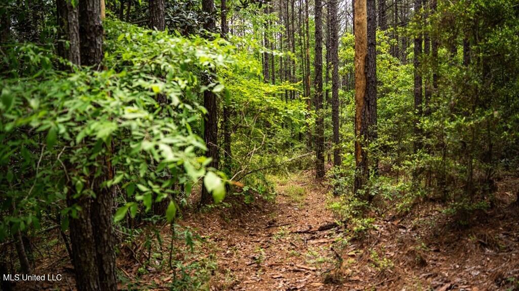 2683 33 Highway Property Photo 7