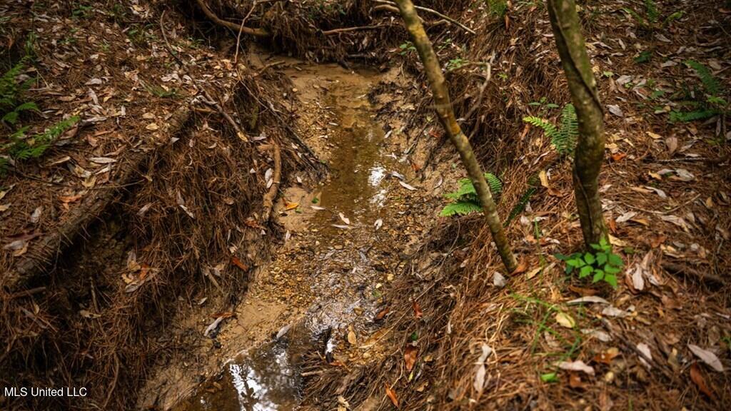 2683 33 Highway Property Photo 9