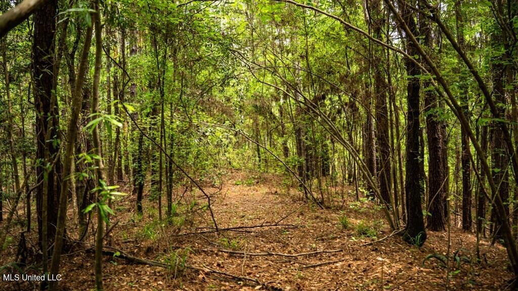 2683 33 Highway Property Photo 10